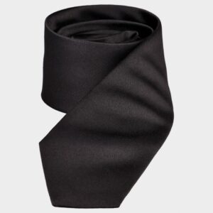 Мъжка вратовръзка CATALINA SATEN